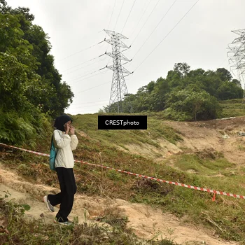 Runner Photo 5941442