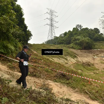 Runner Photo 5941455