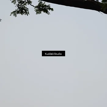 Runner Photo 5945751