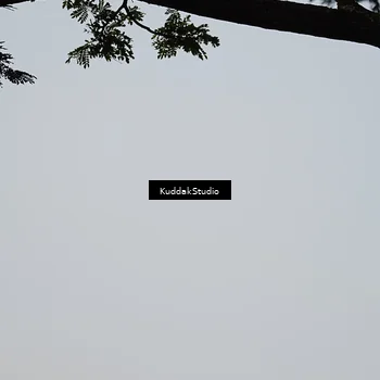 Runner Photo 5945752
