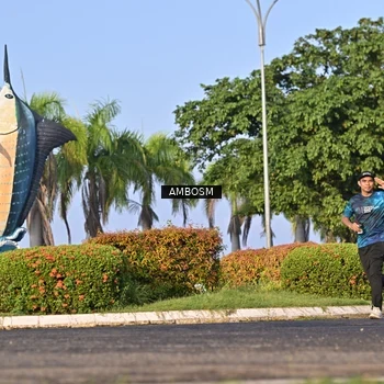 Runner Photo 5947485