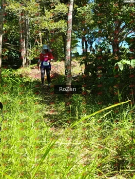 Runner Photo 5948
