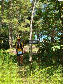 Runner Photo 5964