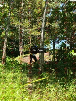 Runner Photo 5994