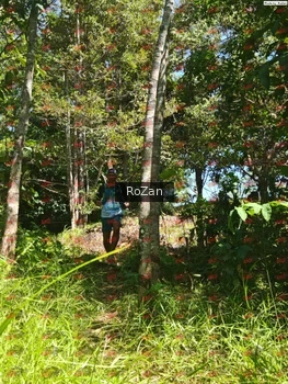 Runner Photo 6004