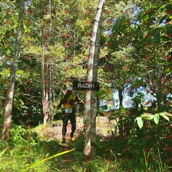 Runner Photo 6006