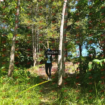 Runner Photo 6009
