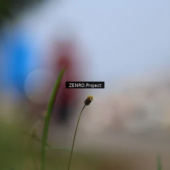 Runner Photo 6009272