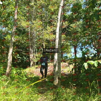 Runner Photo 6012