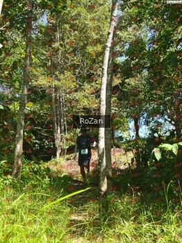 Runner Photo 6014