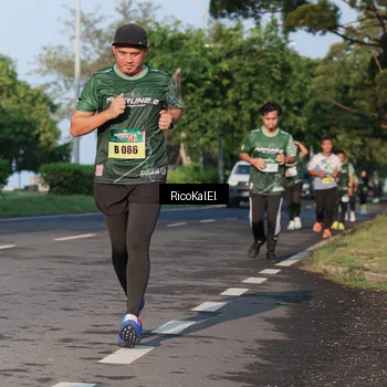 Runner Photo 6017950