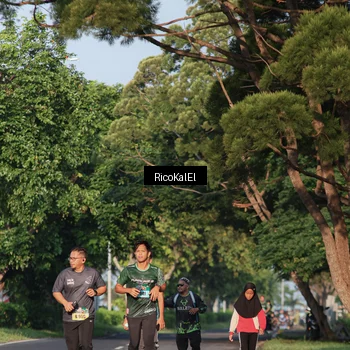 Runner Photo 6018375