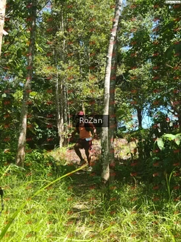Runner Photo 6022
