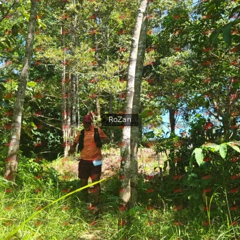 Runner Photo 6023