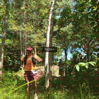 Runner Photo 6024
