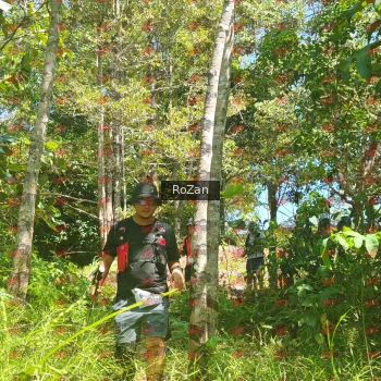 Runner Photo 6030