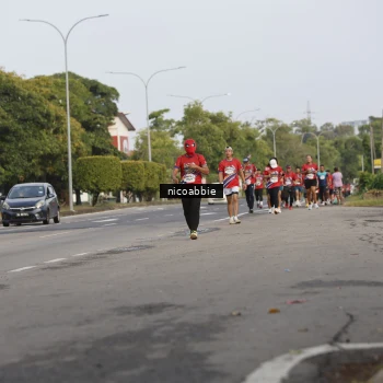 Runner Photo 6032179