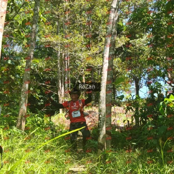 Runner Photo 6044
