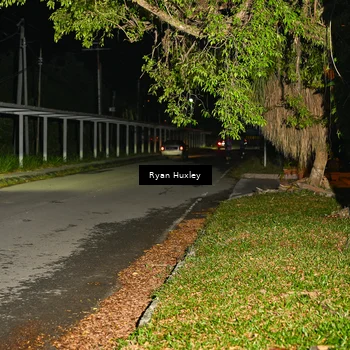 Runner Photo 6048492