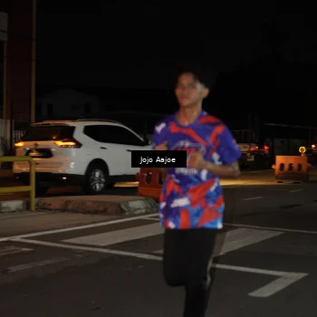 Runner Photo 6049283
