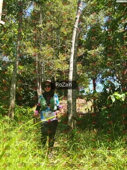 Runner Photo 6059