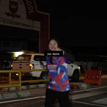 Runner Photo 6060824