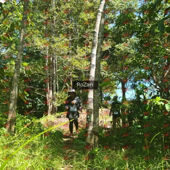 Runner Photo 6063