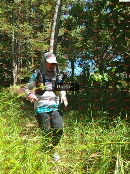 Runner Photo 6074