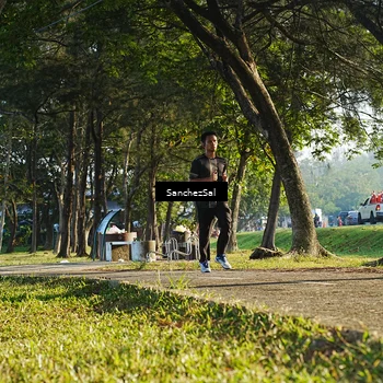 Runner Photo 6074679
