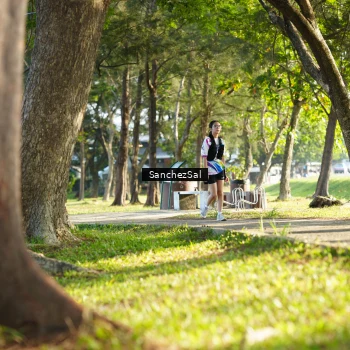 Runner Photo 6075862