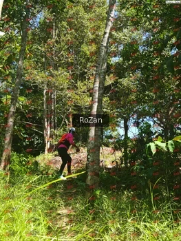 Runner Photo 6078