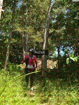 Runner Photo 6081