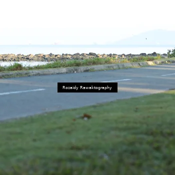 Runner Photo 6082468