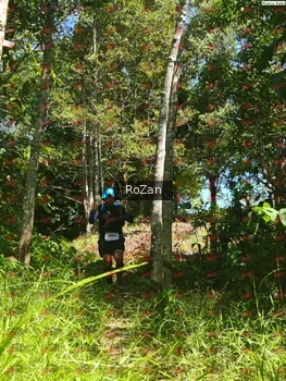 Runner Photo 6085