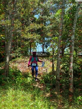Runner Photo 6093