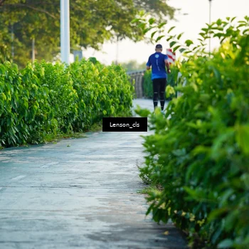 Runner Photo 6093114