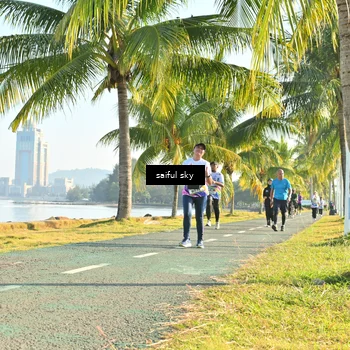 Runner Photo 6102299