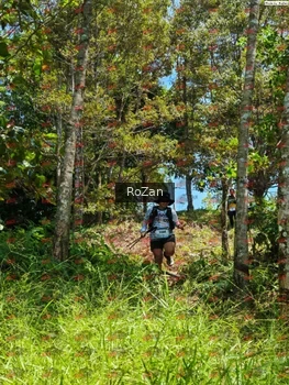 Runner Photo 6118