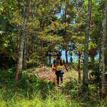 Runner Photo 6125