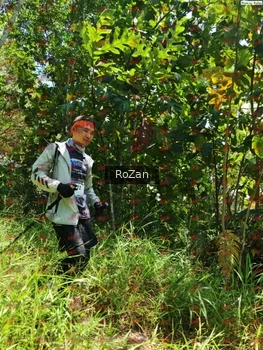Runner Photo 6143