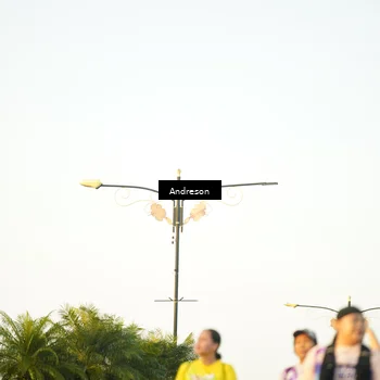 Runner Photo 6146155