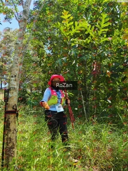 Runner Photo 6151