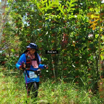 Runner Photo 6156