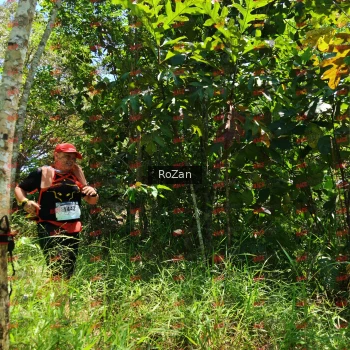 Runner Photo 6158
