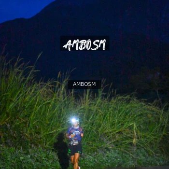 Runner Photo 616630