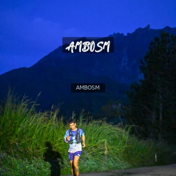 Runner Photo 616683
