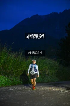 Runner Photo 617522