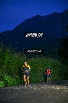 Runner Photo 617581