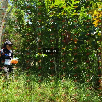 Runner Photo 6177