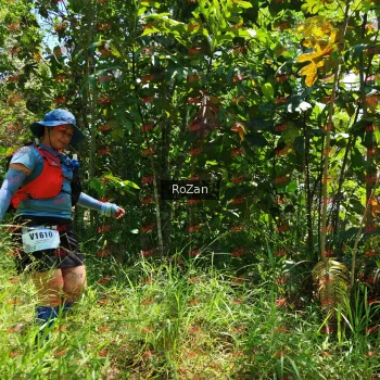 Runner Photo 6188